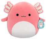 Load image into Gallery viewer, 12" Squishmallows Wave 21 Assorted