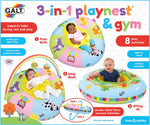 Load image into Gallery viewer, Playnest & Gym 3 in 1