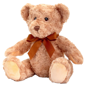 Dougie Bear (30cm)