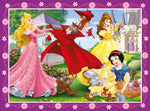 Load image into Gallery viewer, DPR: Disney Princes       12/16/20/24p
