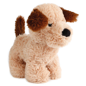 10" PLUSH TAKE ME HOME DOG