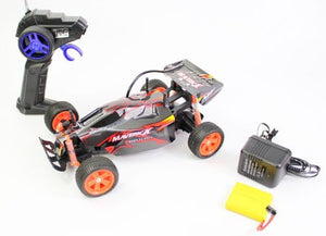 1:18 BAJA ALPHA XENO-V EXTREME WORKS R/C BUGGY