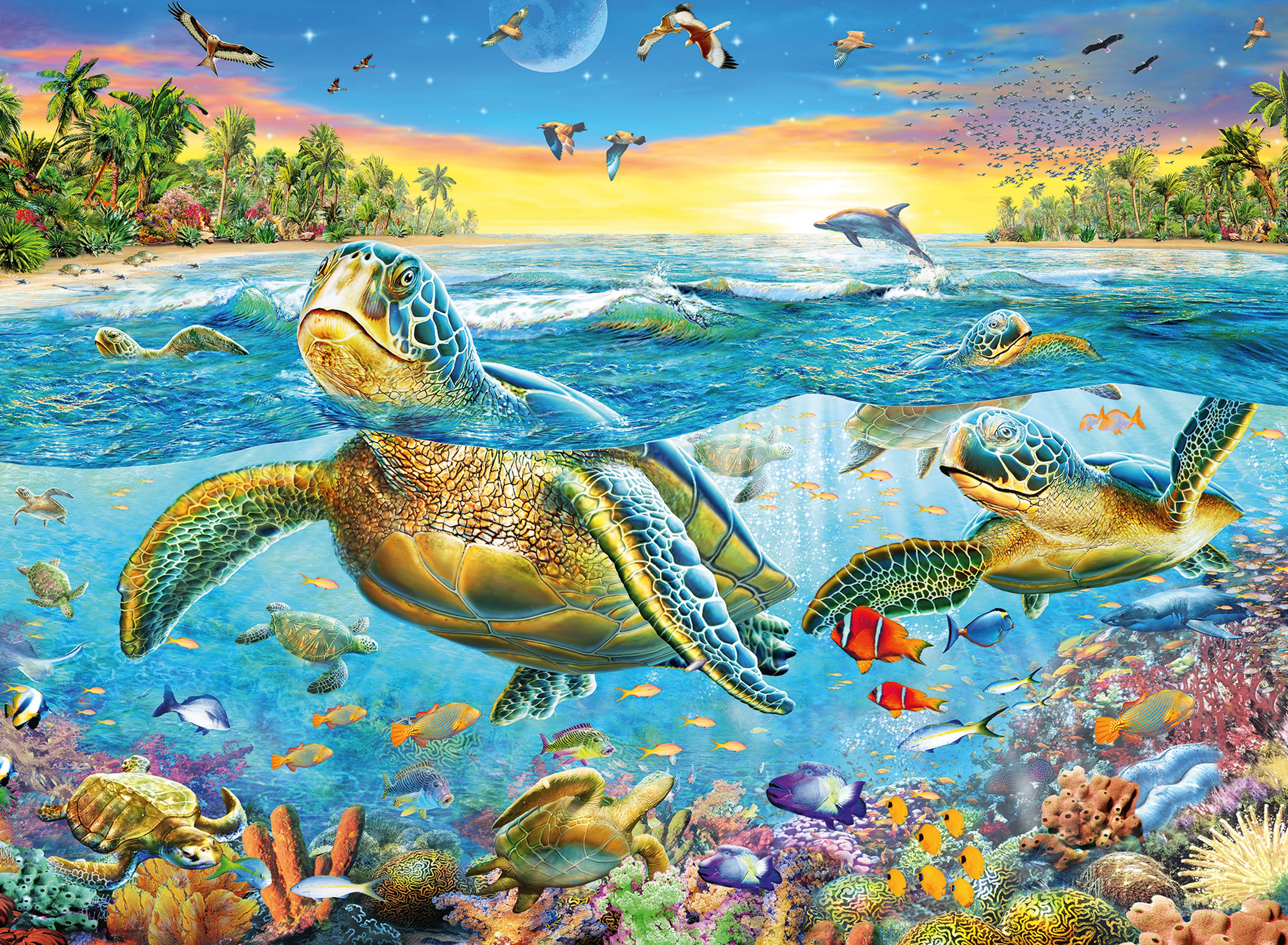 Swim with Sea Turtles     100p