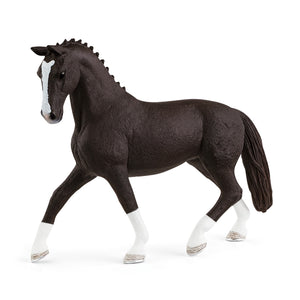 Hannoverian Mare, Black
