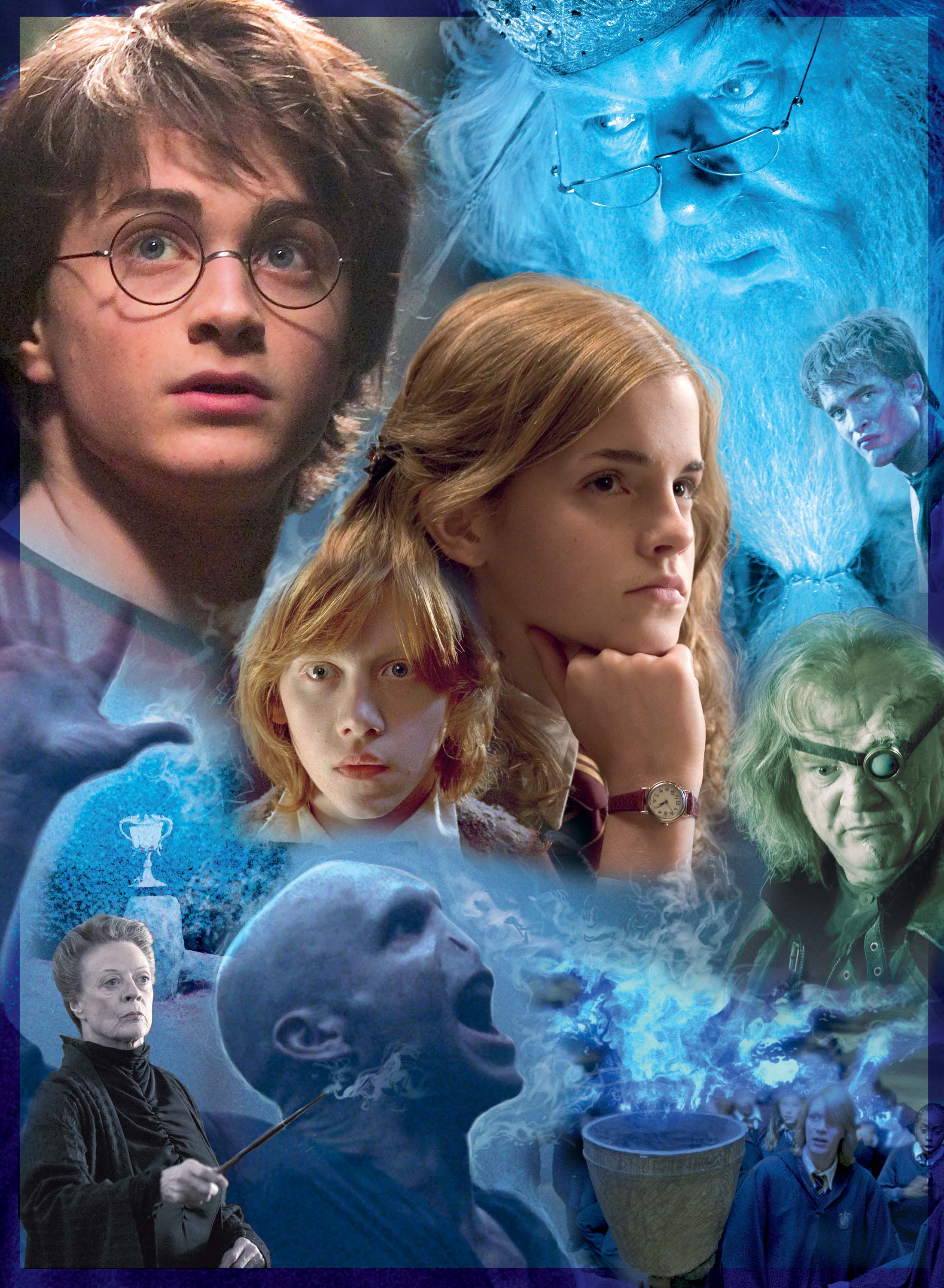 Harry Potter in Hogwarts  500p