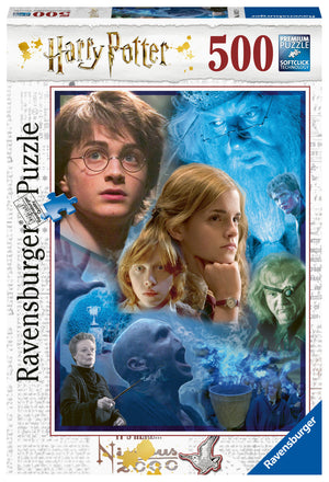 Harry Potter in Hogwarts  500p