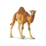 Load image into Gallery viewer, Dromedary

