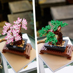 Load image into Gallery viewer, Bonsai Tree
