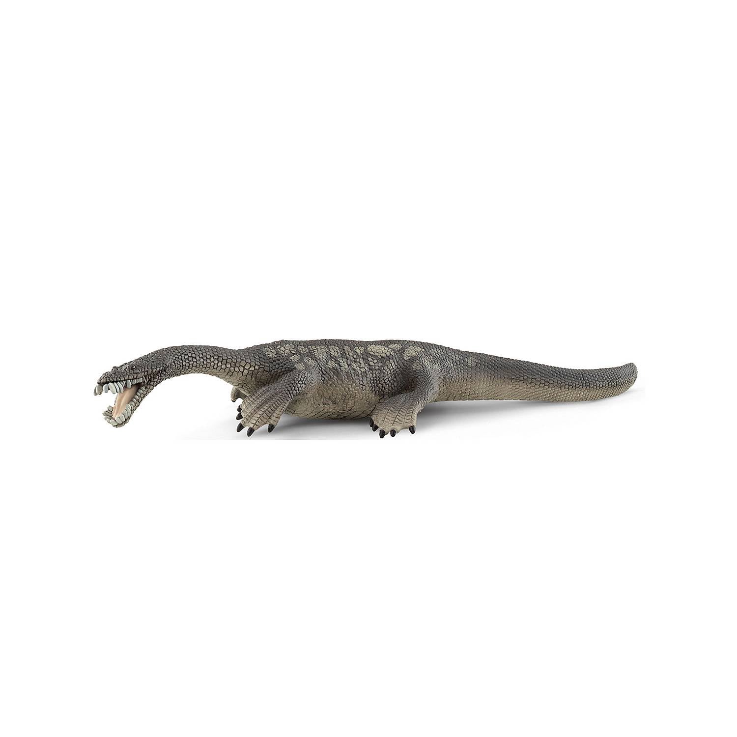 Nothosaurus